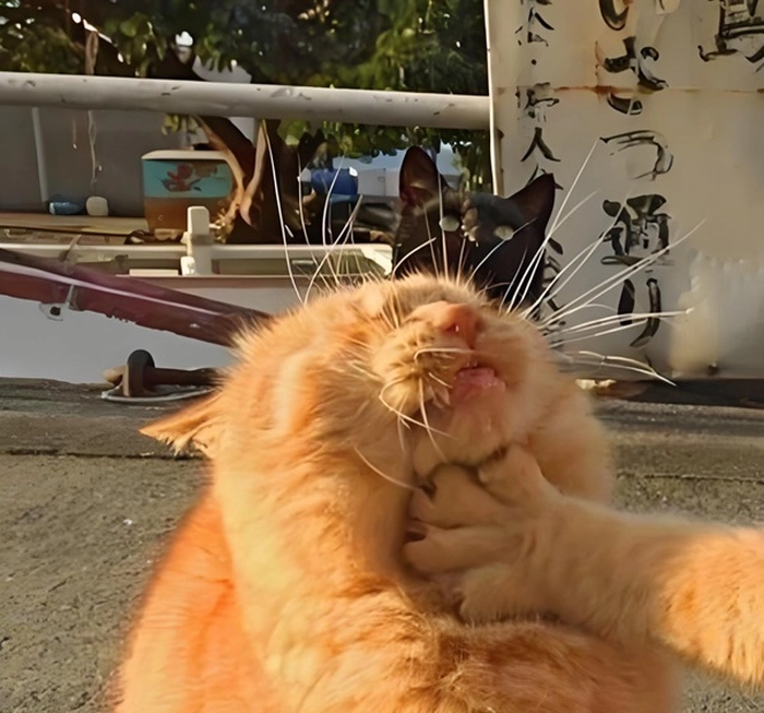 Meme bóp cổ thằng bé hài hước