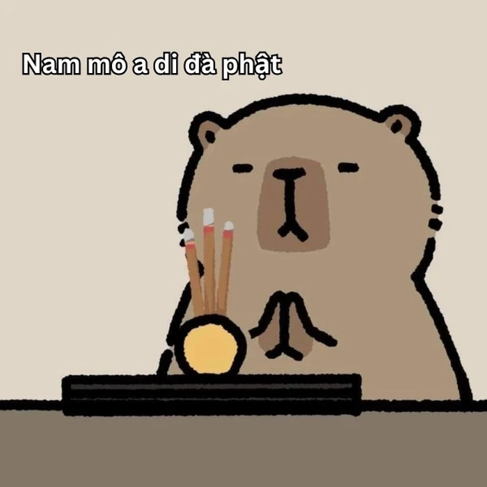 Meme capybara anime dễ thương đáng yêu