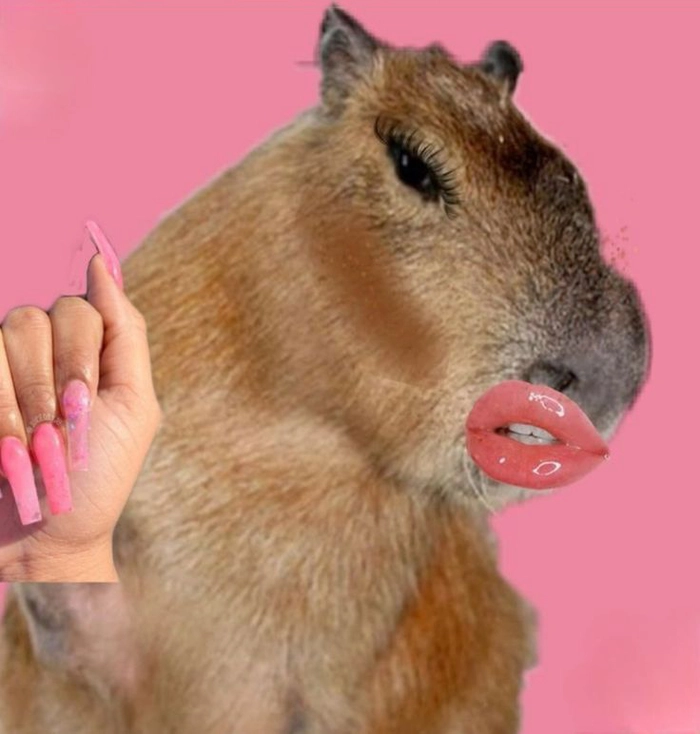 Meme capybara cầm dao lầy lội