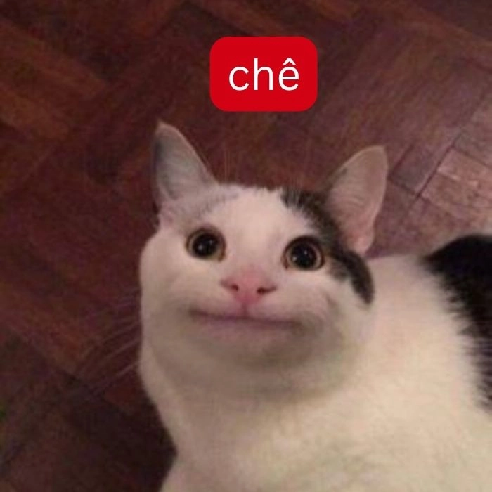 Meme chê bai cực ngầu và độc đáo