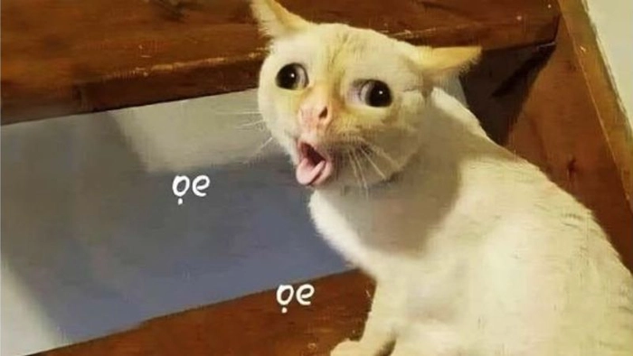 Meme chê lùn bá đạo gây cười cực mạnh