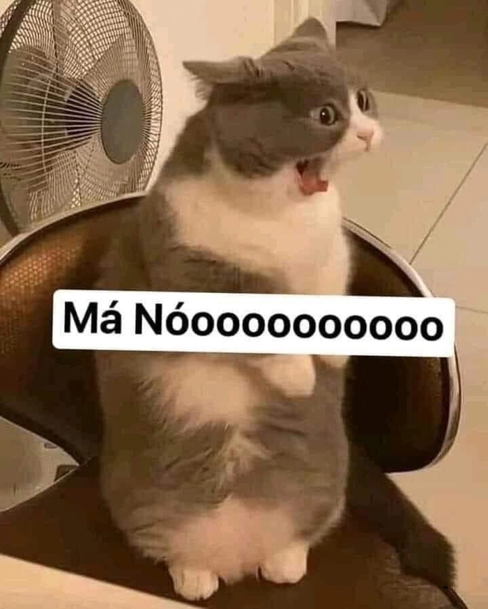 Meme chửi bá đạo khó đỡ