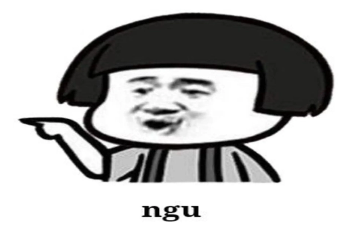 Meme chửi ngu hài bựa