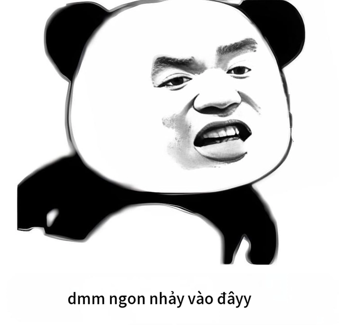 Meme chửi ngu troll bá đạo