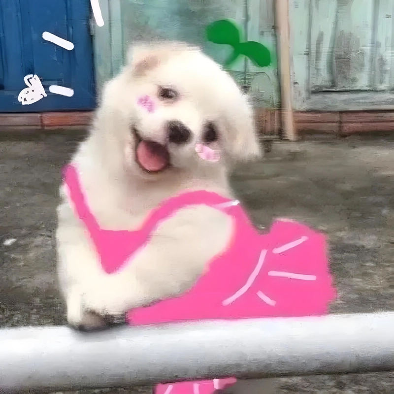 Meme đáng yêu cute hết nấc