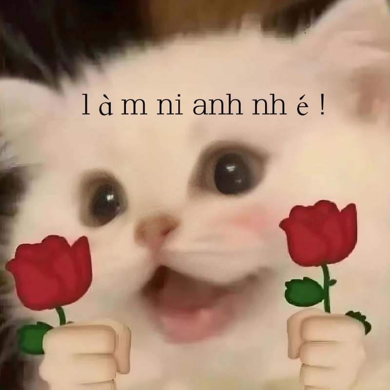 Meme đáng yêu đáng yêu nhất
