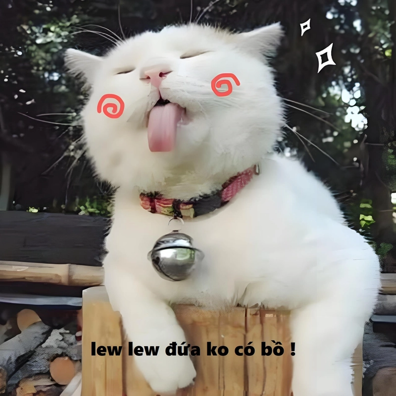 Meme đáng yêu hot trend