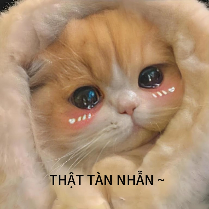 Meme đáng yêu ngọt ngào