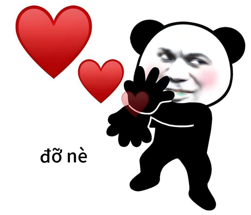 Meme gấu trúc bắn tim ngộ nghĩnh