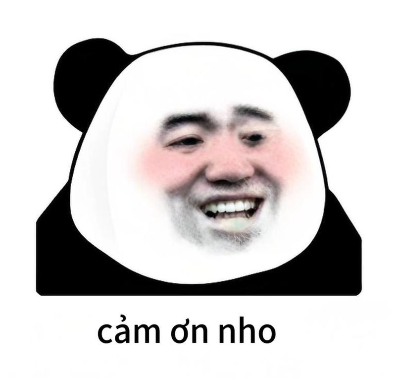Meme gấu trúc cảm ơn lém lỉnh