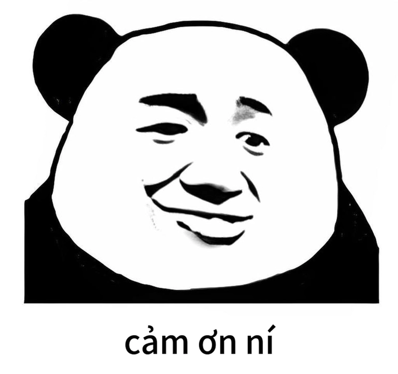 Meme gấu trúc cảm ơn ngộ nghĩnh nhất