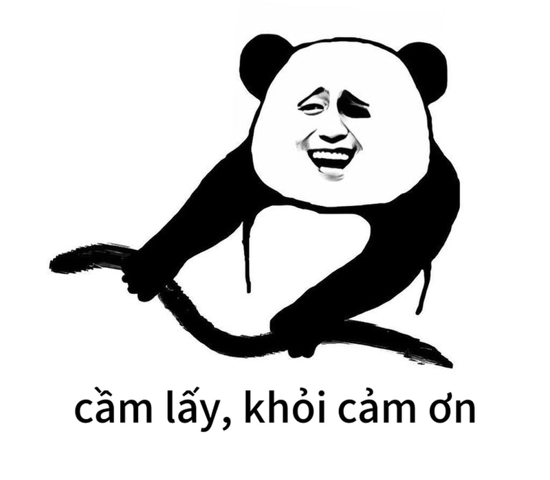 Meme gấu trúc đa tạ cười không nhặt được mồm