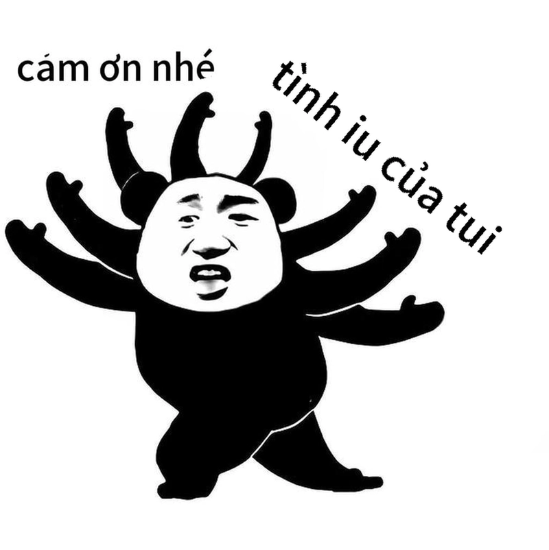 Meme gấu trúc đa tạ siêu hot
