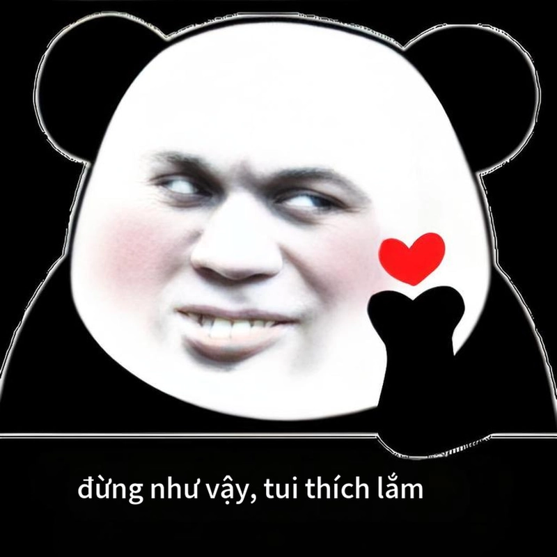 Meme gấu trúc hài bựa khó nhịn cười
