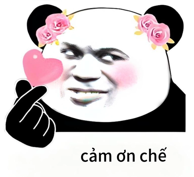 Meme gấu trúc hài chill vui vẻ
