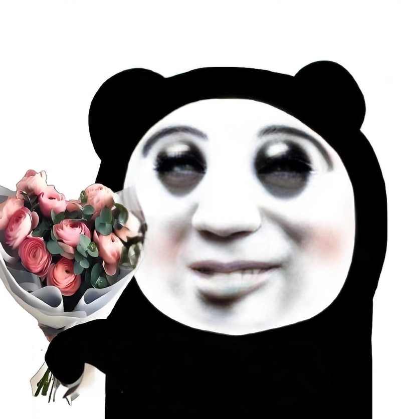 Meme gấu trúc hài chọc cười