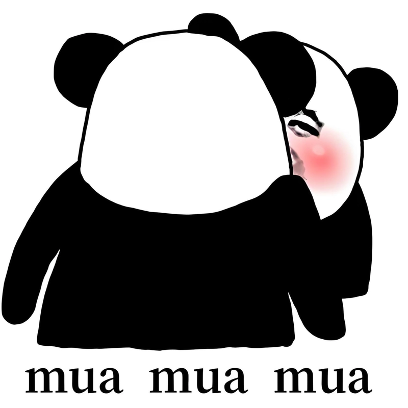 Meme gấu trúc hài cực hot