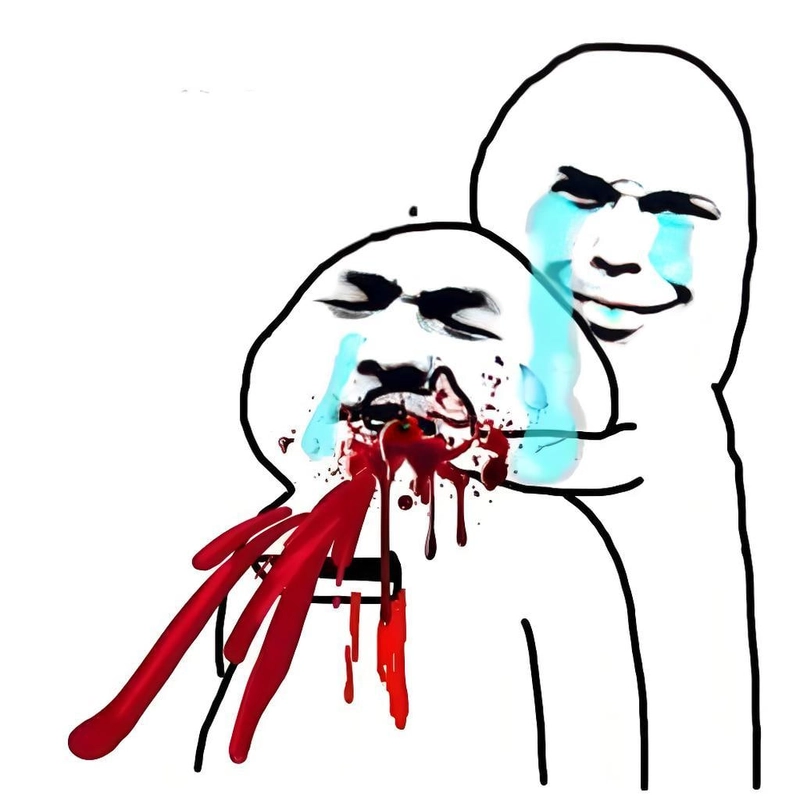 Meme gấu trúc hài hước trên mạng xã hội