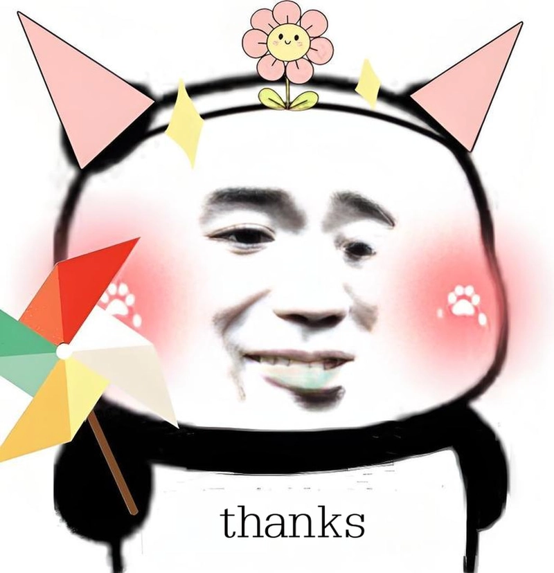 Meme gấu trúc hài hước trending