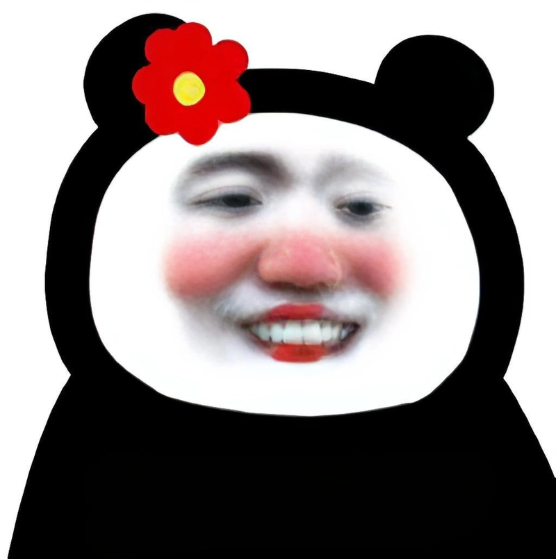 Meme gấu trúc slay ấn tượng