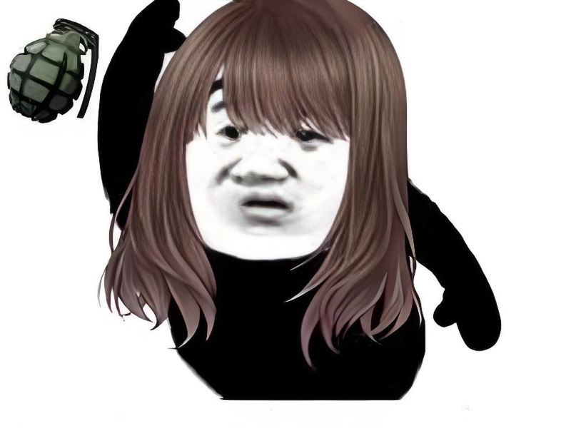 Meme gấu trúc slay chế bá đạo