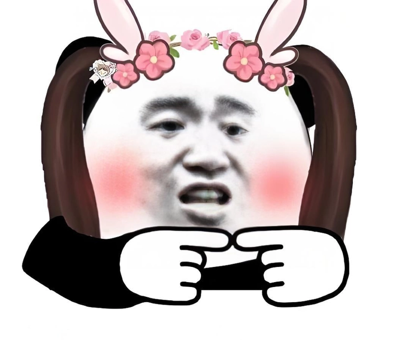 Meme gấu trúc slay cực ngầu