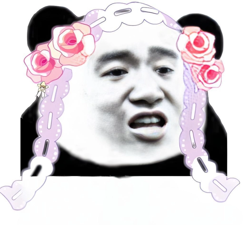 Meme gấu trúc slay lém lỉnh