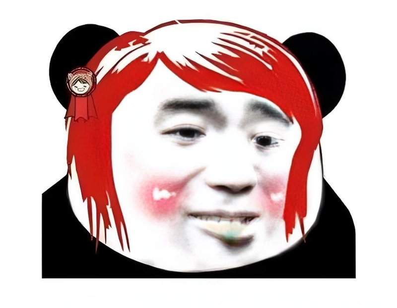 Meme gấu trúc slay ngầu bá đạo
