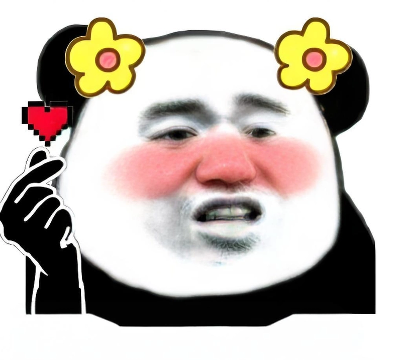 Meme gấu trúc slay vui nhộn