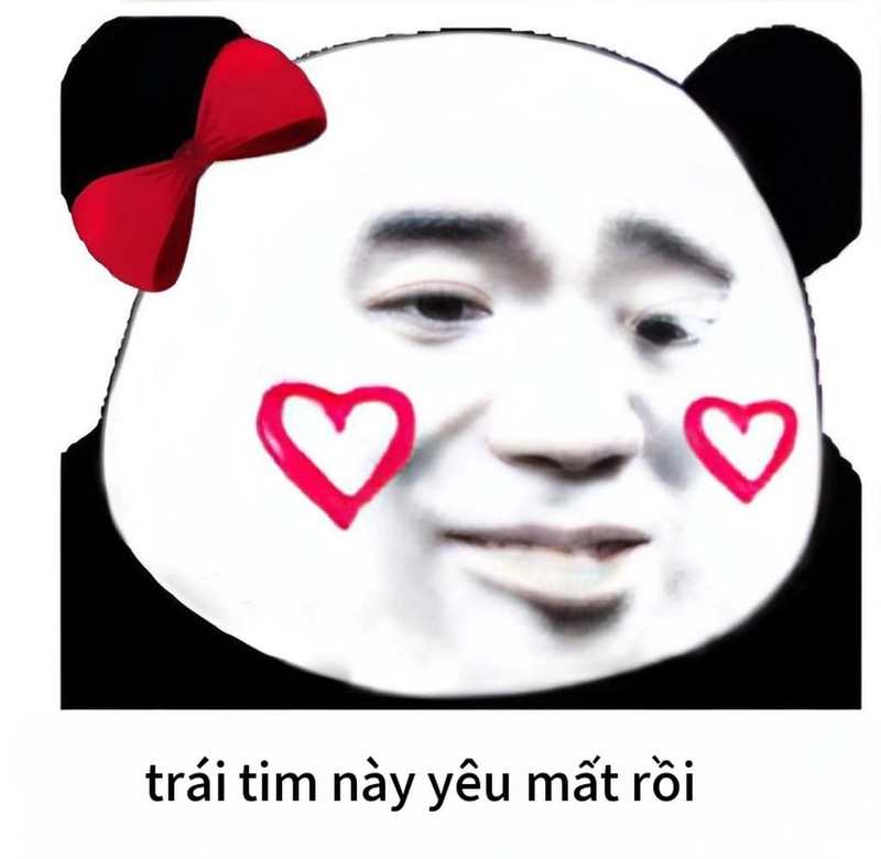 Meme gấu trúc thả tim ngọt ngào đáng yêu