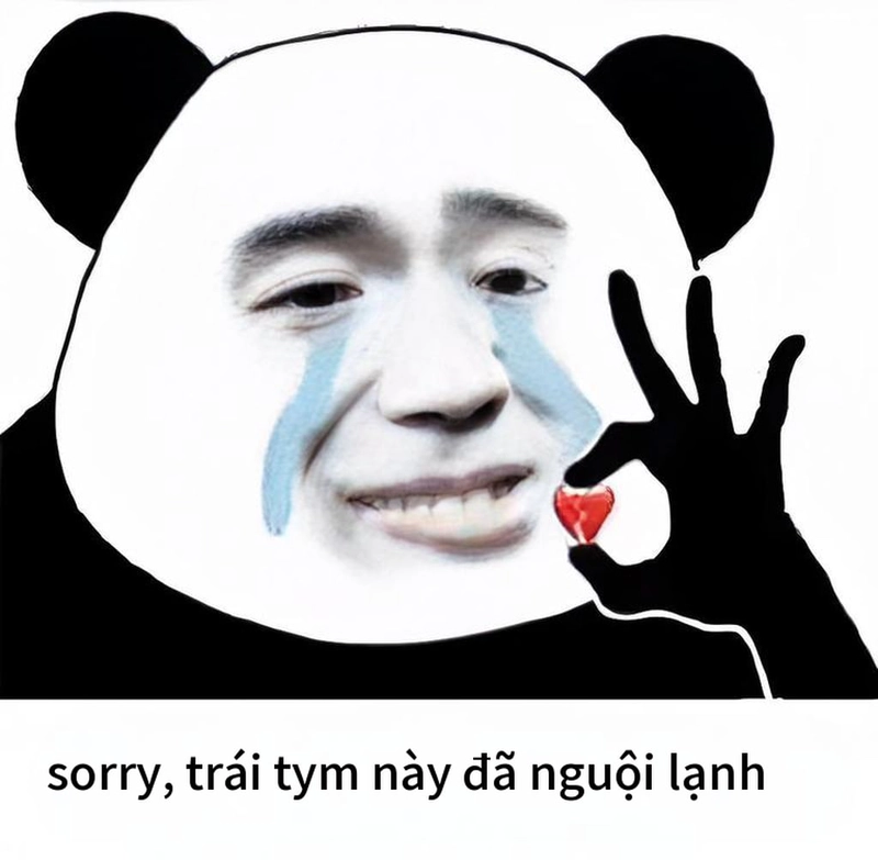 Meme gấu trúc xin lỗi đa dạng phong cách