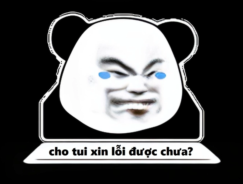 Meme gấu trúc xin lỗi viral trên mạng xã hội