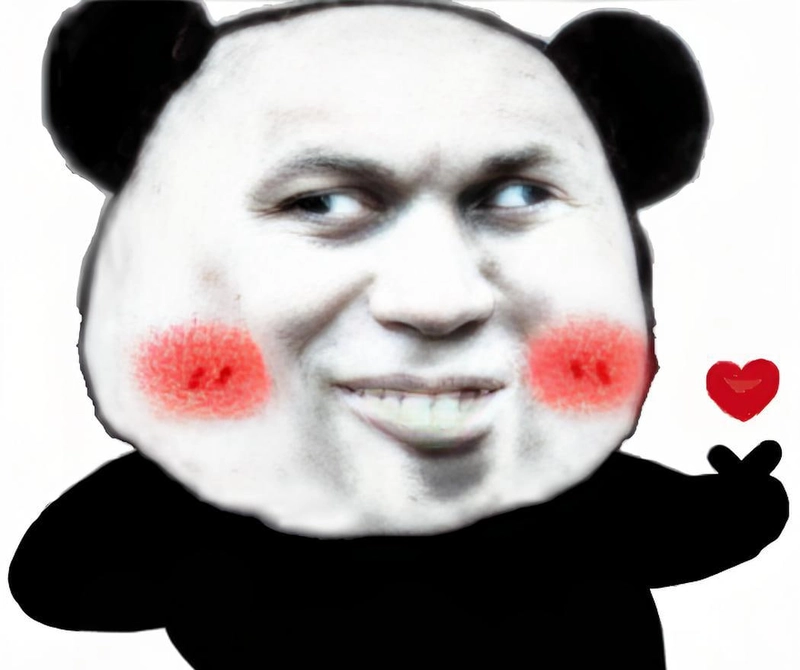 Meme gấu trúc yêu cute