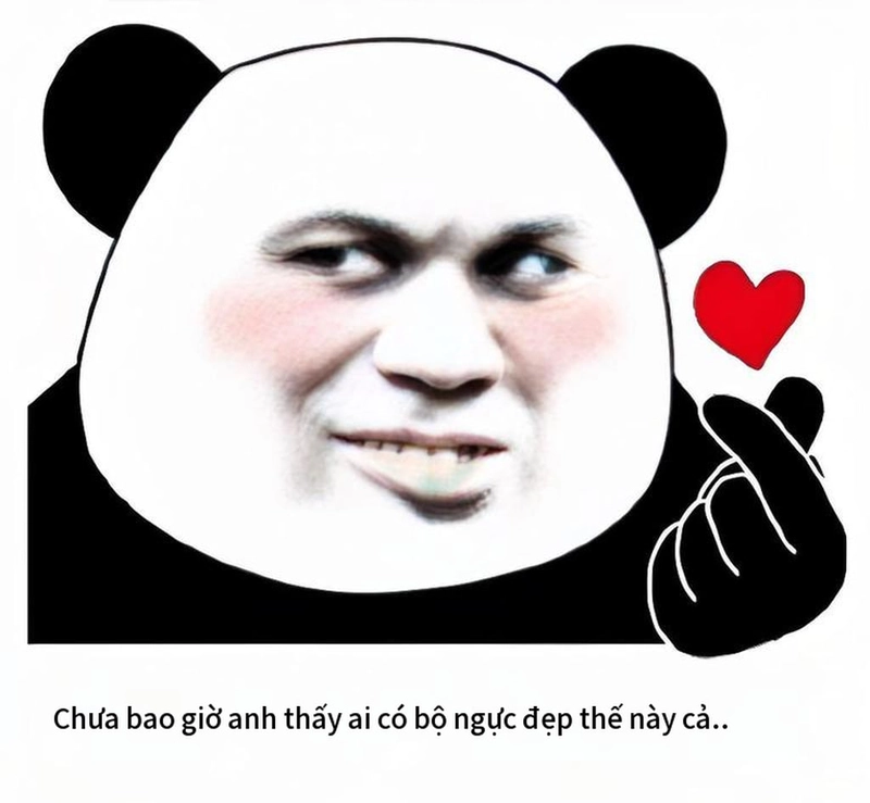 Meme gấu trúc yêu dễ thương