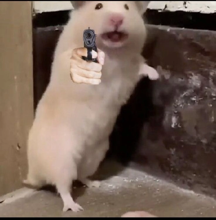 Meme hamster cầm thánh giá độc đáo thú vị