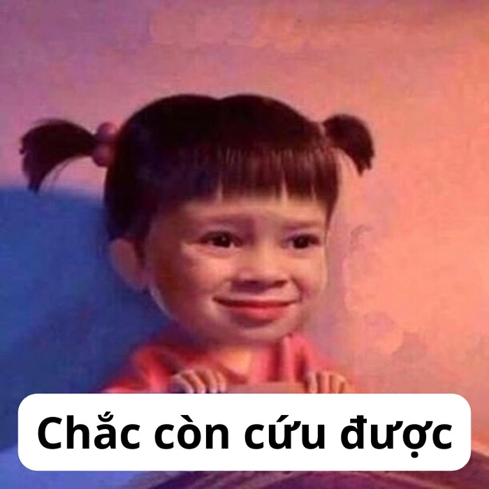 Meme hết cứu dễ thương