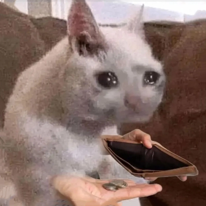 Meme không có tiền cười xỉu