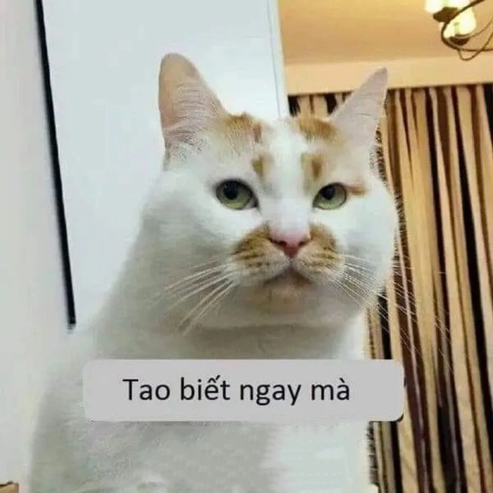 Meme ngầu bá đạo siêu độc đáo