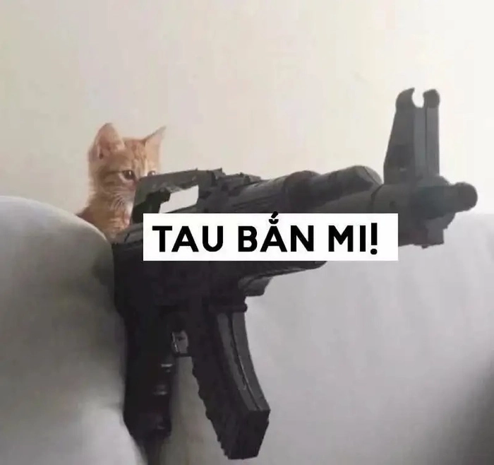 Meme ngầu hot trend cuốn hút dân mạng