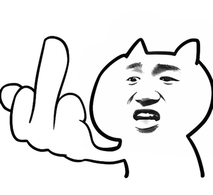 Meme ngón giữa cực bá chất chơi