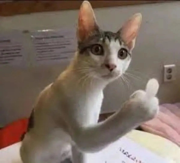 Meme ngón giữa siêu ngầu bá đạo
