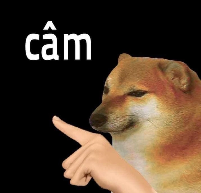 Meme nín cheems dễ mến hài hước