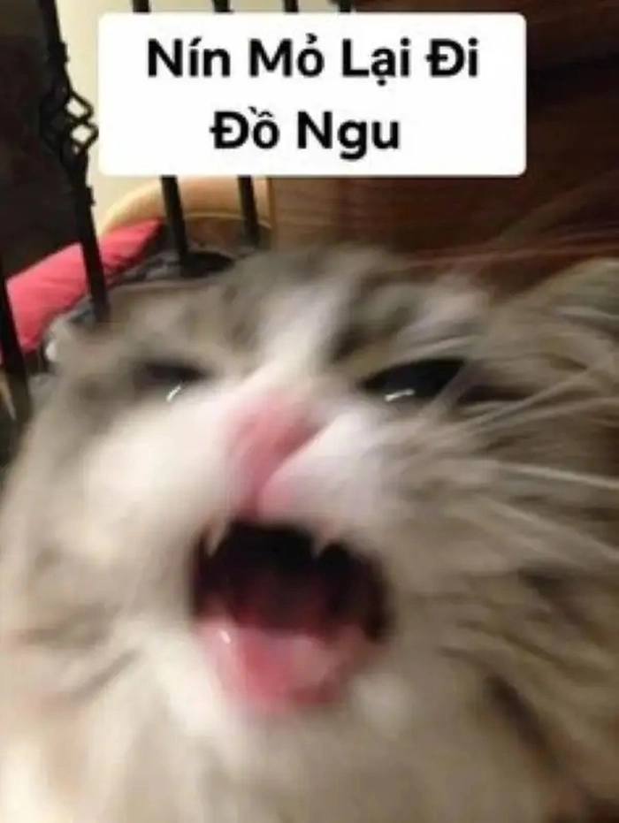 Meme nín mỏ siêu hài dễ thương