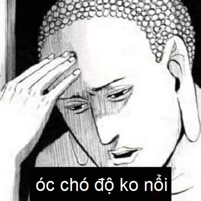 Meme óc chó bá đạo cực hot trend