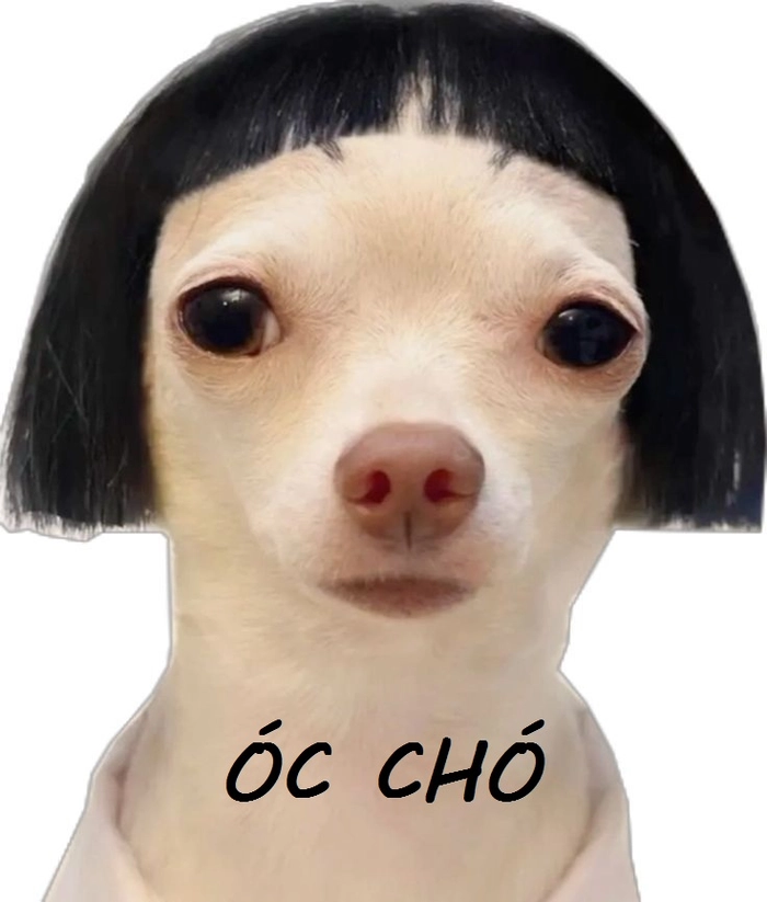 Meme óc chó chế bựa lan truyền