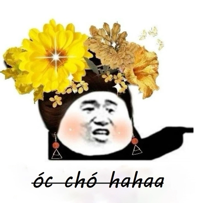 Meme óc chó hài hước khiến cười ngất