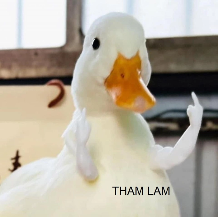 Meme tham lam đáng xem