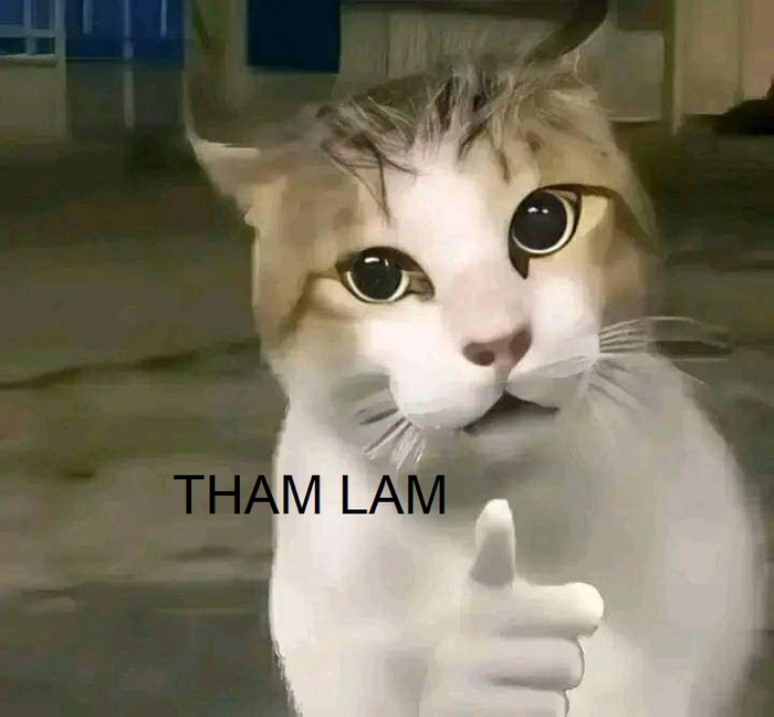 Meme tham lam dí dỏm cực chất