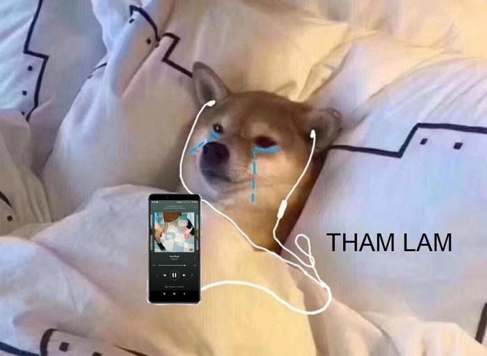 Meme tham lam gây cười