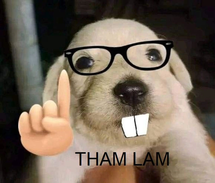 Meme tham lam ngu dốt dí dỏm